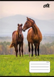 Füzet, tűzött, A5, vonalas, 32 lap, 1. osztály, COOL BY VICTORIA "Free Spirit", "14-32"